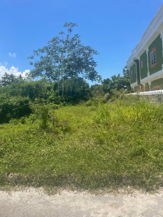 Fifth image of Lot 368 Amaryllis Close, in Lyssons, St. Thomas, Jamaica - property is For Sale