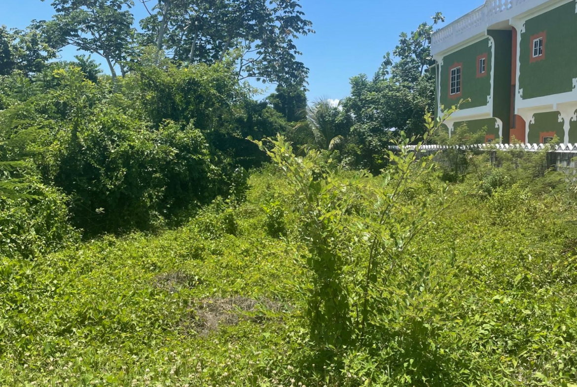 Sixth image of Lot 368 Amaryllis Close, in Lyssons, St. Thomas, Jamaica - property is For Sale