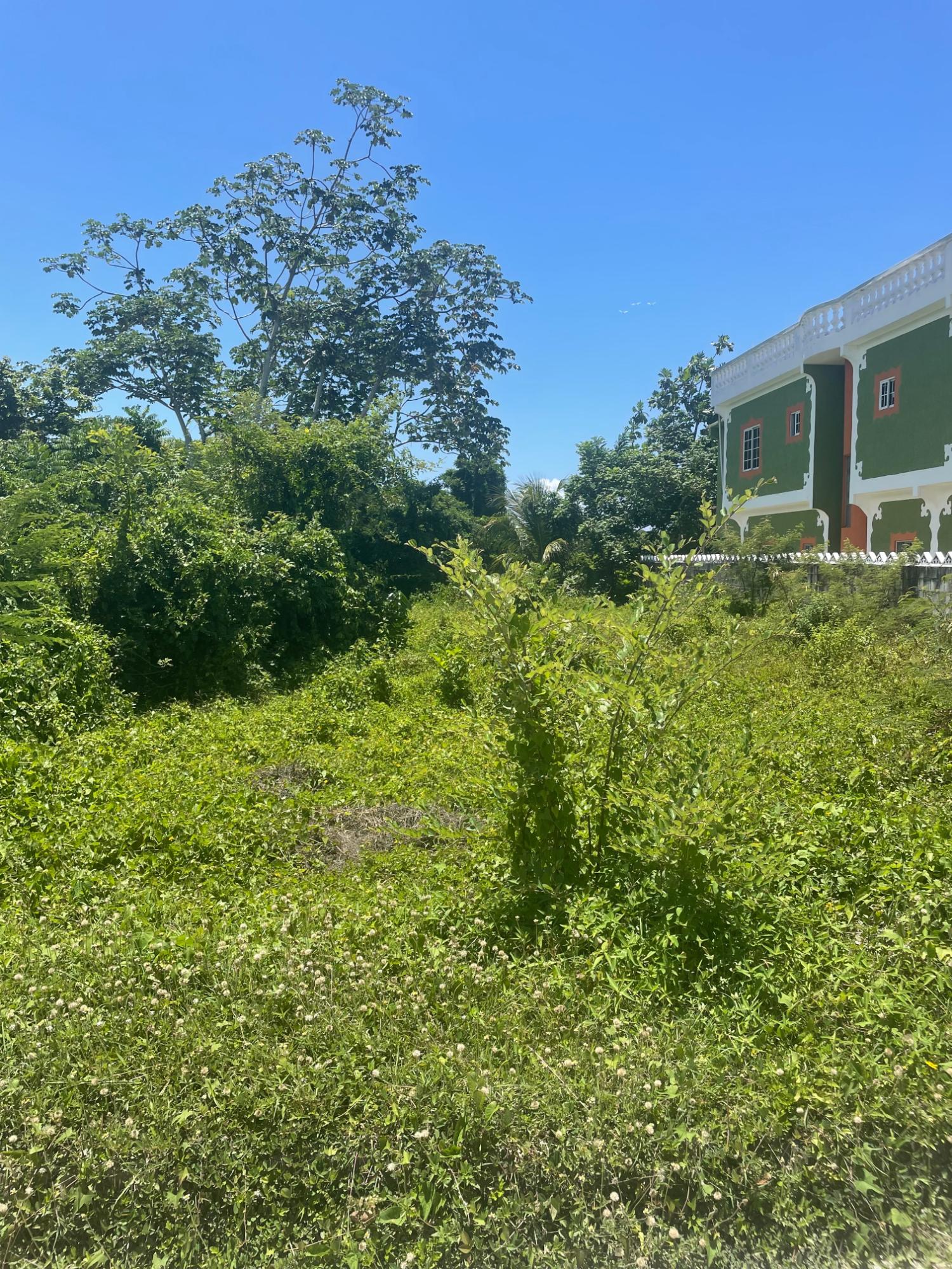 Residential-Lot-for-Sale-in-St.-Thomas-Jamaica-Prime-Investment-Opportunity Sixth image of Lot 368 Amaryllis Close, in Lyssons, St. Thomas, Jamaica - property is For Sale