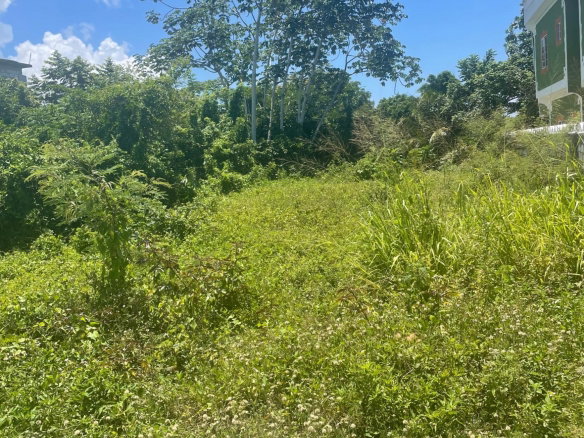First image of Lot 368 Amaryllis Close, in Lyssons, St. Thomas, Jamaica - property is For Sale