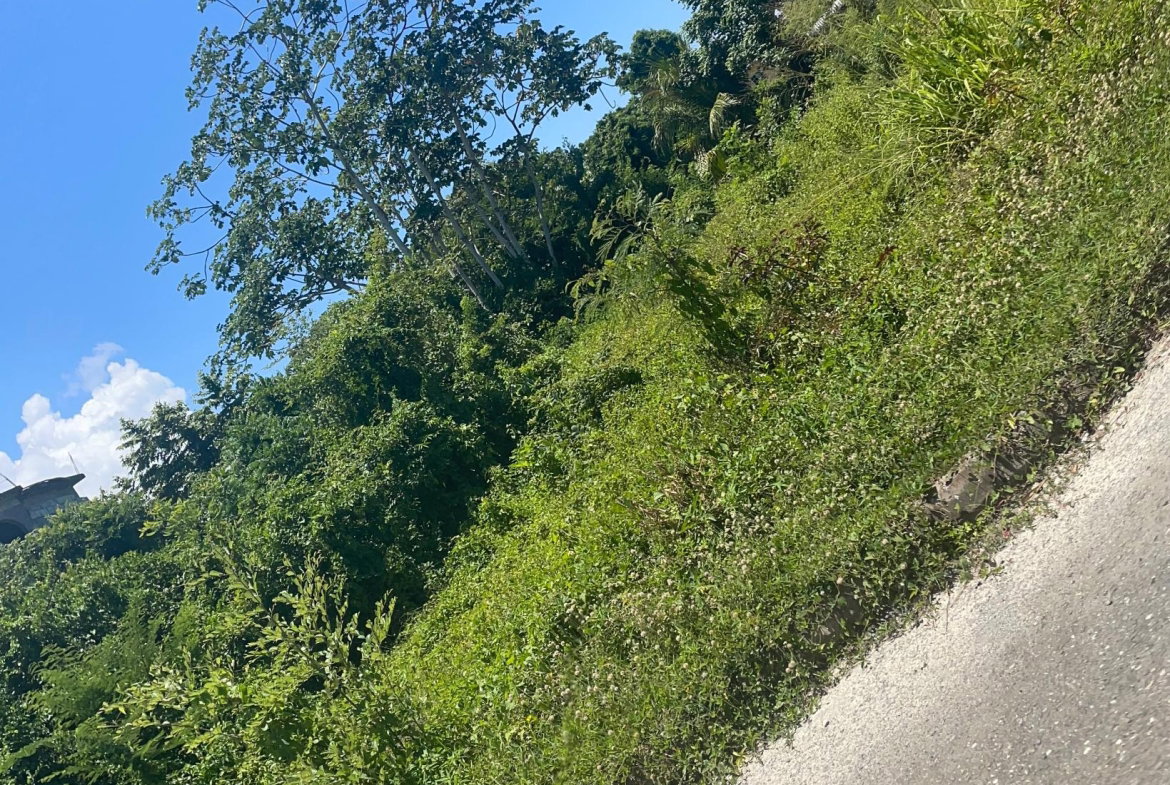 Seventh image of Lot 368 Amaryllis Close, in Lyssons, St. Thomas, Jamaica - property is For Sale