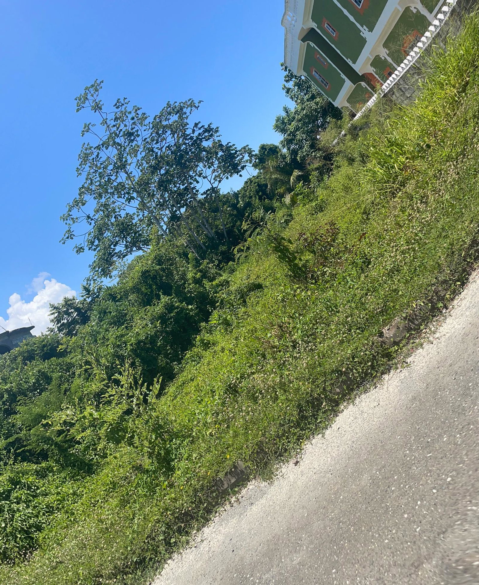 Residential-Lot-for-Sale-in-St.-Thomas-Jamaica-Prime-Investment-Opportunity Seventh image of Lot 368 Amaryllis Close, in Lyssons, St. Thomas, Jamaica - property is For Sale
