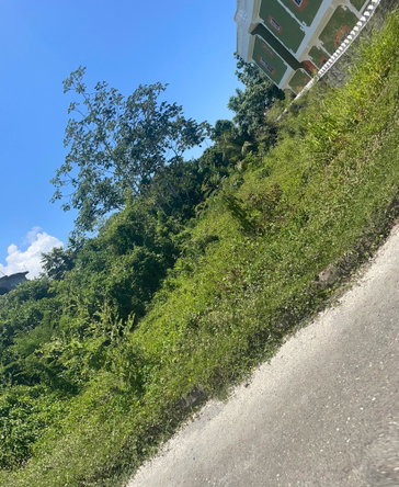 Seventh image of Lot 368 Amaryllis Close, in Lyssons, St. Thomas, Jamaica - property is For Sale