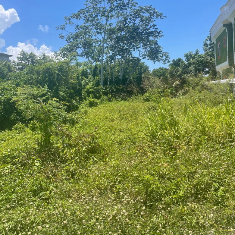 First image of Lot 368 Amaryllis Close, in Lyssons, St. Thomas, Jamaica - property is For Sale