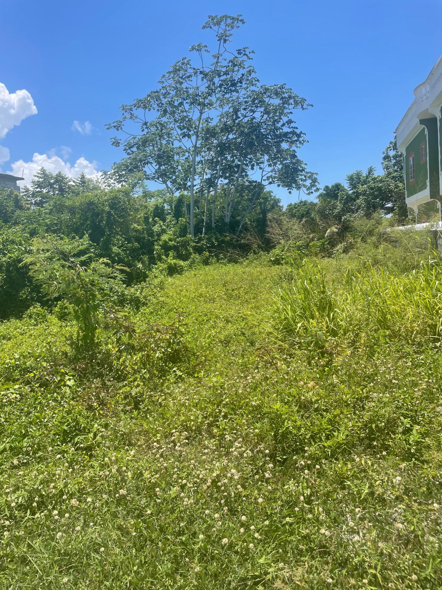 Residential-Lot-for-Sale-in-St.-Thomas-Jamaica-Prime-Investment-Opportunity First image of Lot 368 Amaryllis Close, in Lyssons, St. Thomas, Jamaica - property is For Sale
