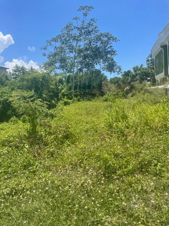 First image of Lot 368 Amaryllis Close, in Lyssons, St. Thomas, Jamaica - property is For Sale