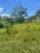 First image of Lot 368 Amaryllis Close, in Lyssons, St. Thomas, Jamaica - property is For Sale