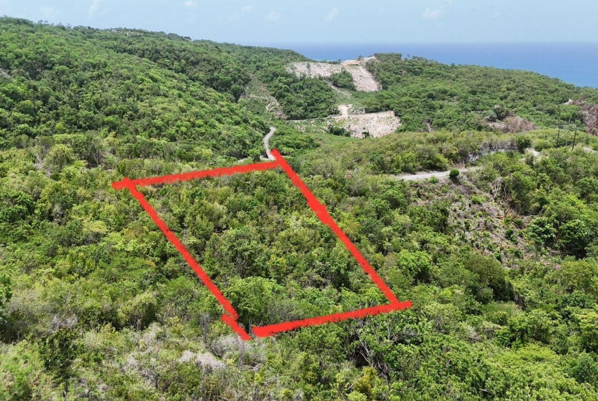 Fourth image of 163 Albion Heights in Albion, St. Thomas, Jamaica - property is For Sale