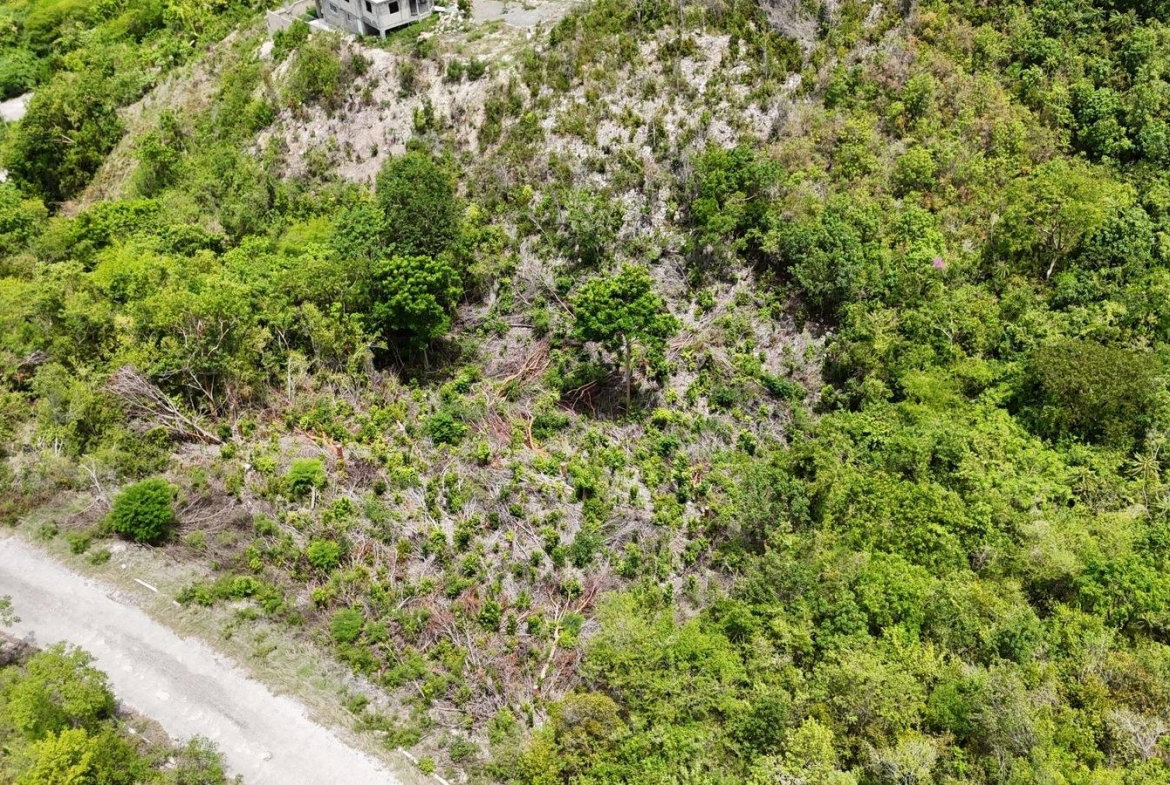 Fifth image of 163 Albion Heights in Albion, St. Thomas, Jamaica - property is For Sale