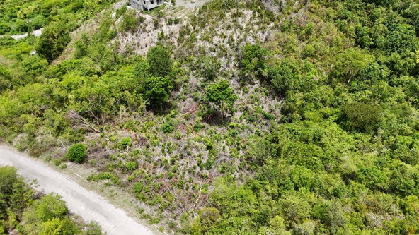 Fifth image of 163 Albion Heights in Albion, St. Thomas, Jamaica - property is For Sale