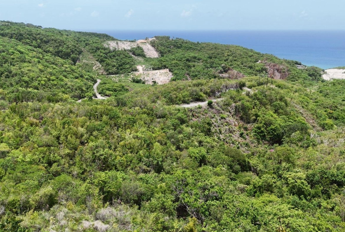 Sixth image of 163 Albion Heights in Albion, St. Thomas, Jamaica - property is For Sale