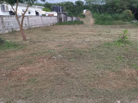 First image of 14 Mount George Pen in Yallahs, St. Thomas, Jamaica - property is For Sale