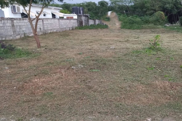 First image of 14 Mount George Pen in Yallahs, St. Thomas, Jamaica - property is For Sale