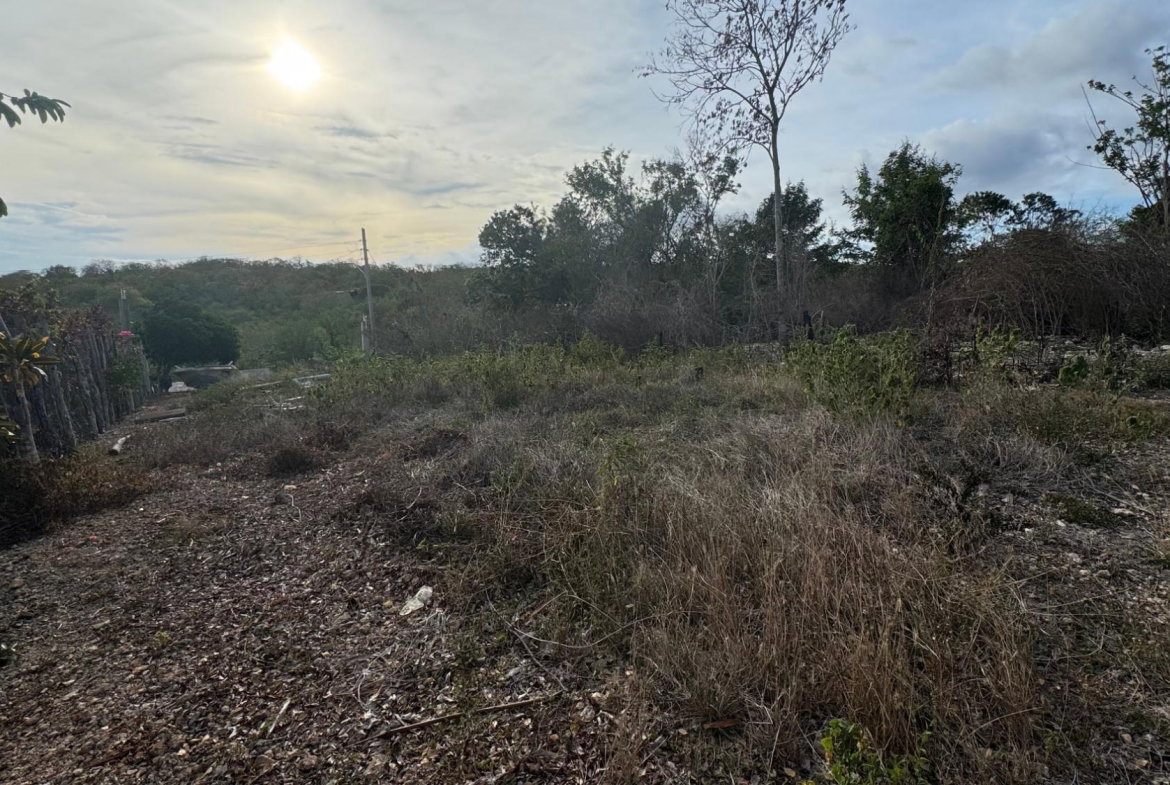 Sixth image of 125 Stewart Castle in Duncans, Trelawny, Jamaica - property is For Sale