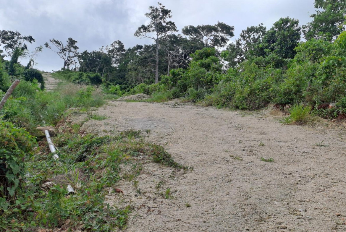Second image of Part of Three Hills, St. in Three Hills, St. Mary, Jamaica - property is For Sale