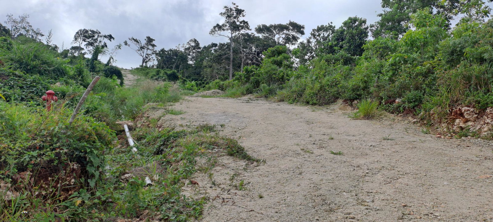 Second image of Part of Three Hills, St. in Three Hills, St. Mary, Jamaica - property is For Sale