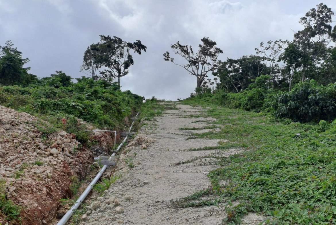 Fourth image of Part of Three Hills, St. in Three Hills, St. Mary, Jamaica - property is For Sale