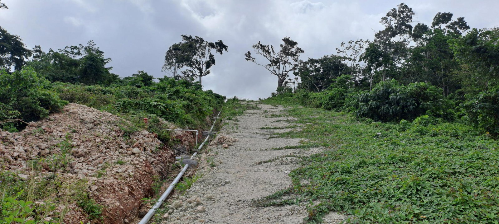 Fourth image of Part of Three Hills, St. in Three Hills, St. Mary, Jamaica - property is For Sale