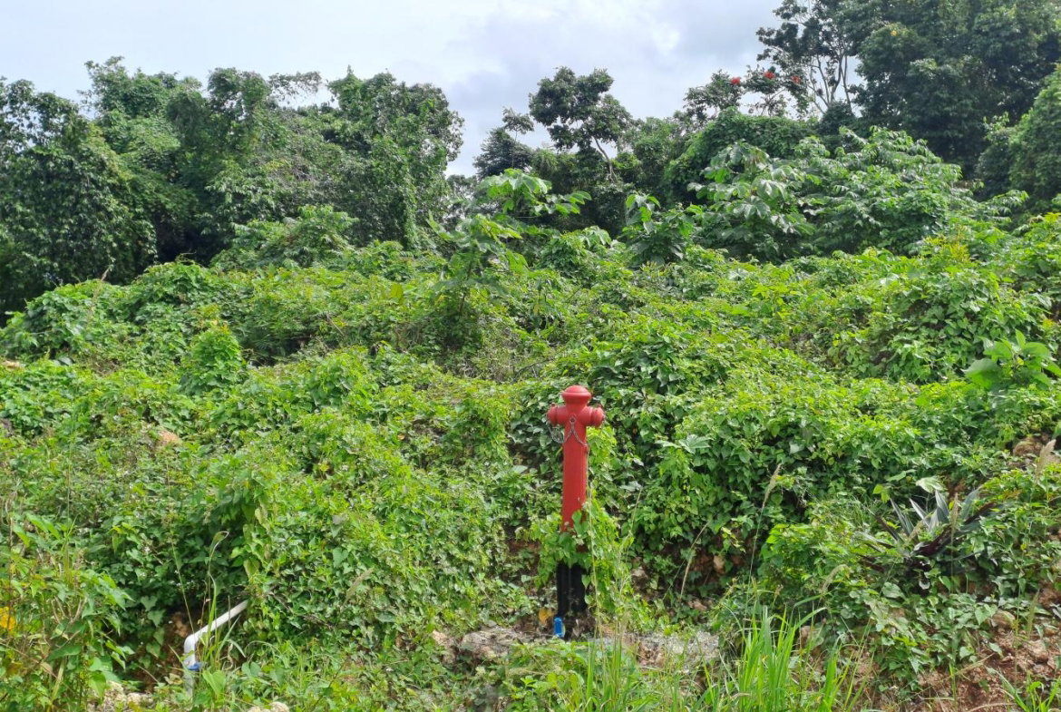 Sixth image of Part of Three Hills, St. in Three Hills, St. Mary, Jamaica - property is For Sale