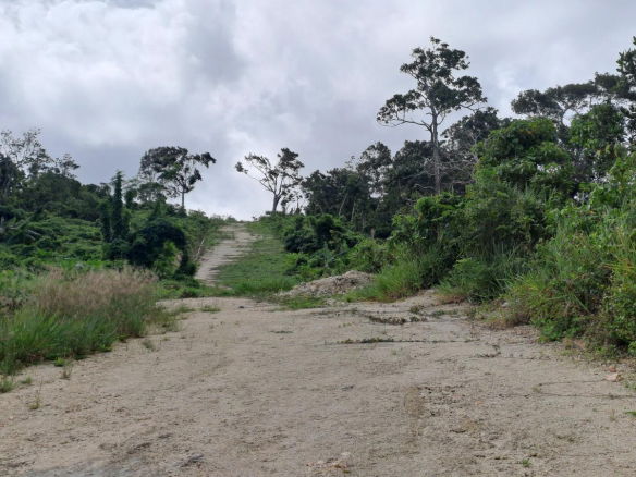 First image of Part of Three Hills, St. in Three Hills, St. Mary, Jamaica - property is For Sale