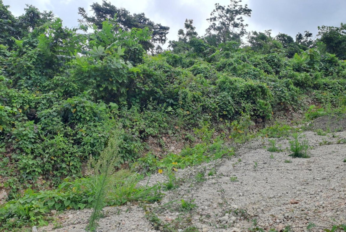 Seventh image of Part of Three Hills, St. in Three Hills, St. Mary, Jamaica - property is For Sale