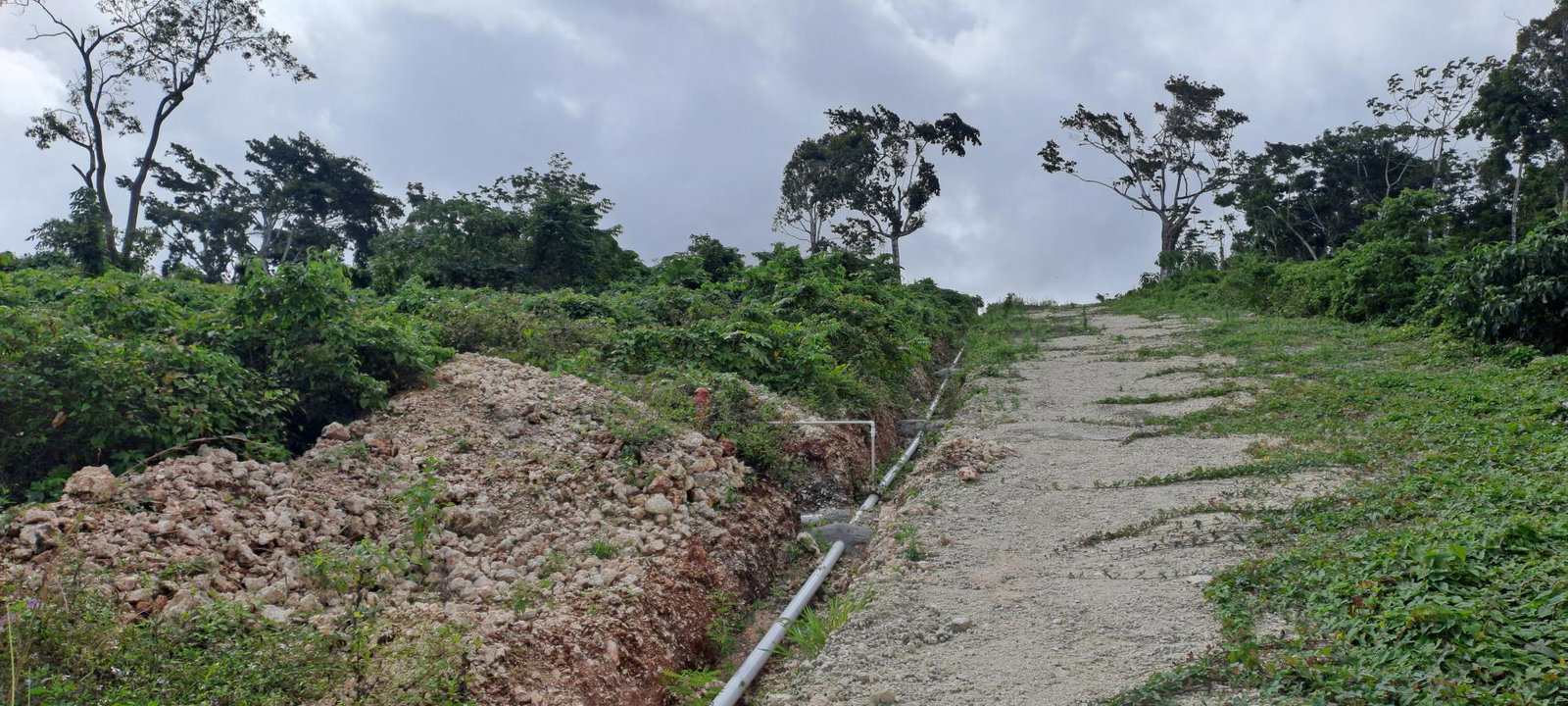Residential-Lot-for-Sale-in-Three-Hills-St.-Mary-Jamaica-Lot-2 Second image of Lot 2 Part of Three Hills in Three Hills, St. Mary, Jamaica - property is For Sale