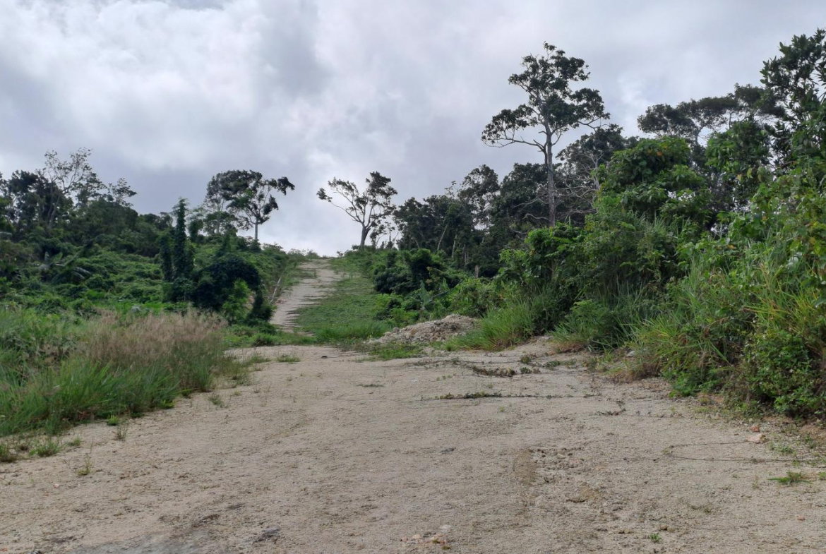 First image of Lot 2 Part of Three Hills in Three Hills, St. Mary, Jamaica - property is For Sale