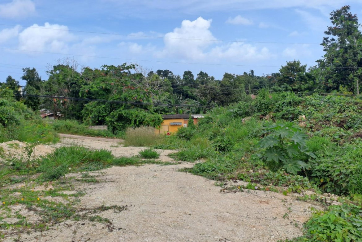 Third image of Lot 2 Part of Three Hills in Three Hills, St. Mary, Jamaica - property is For Sale