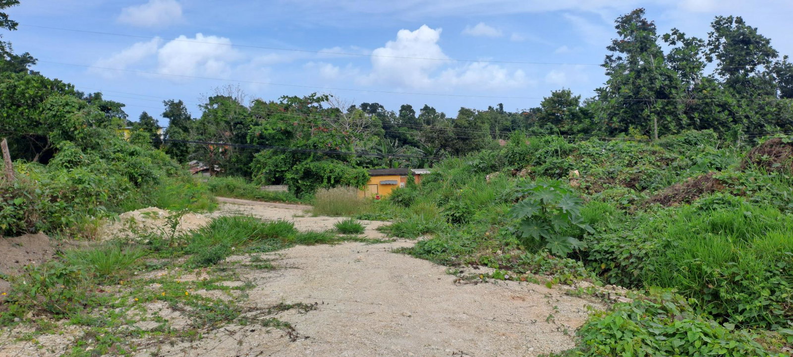 Residential-Lot-for-Sale-in-Three-Hills-St.-Mary-Jamaica-Lot-2 Third image of Lot 2 Part of Three Hills in Three Hills, St. Mary, Jamaica - property is For Sale