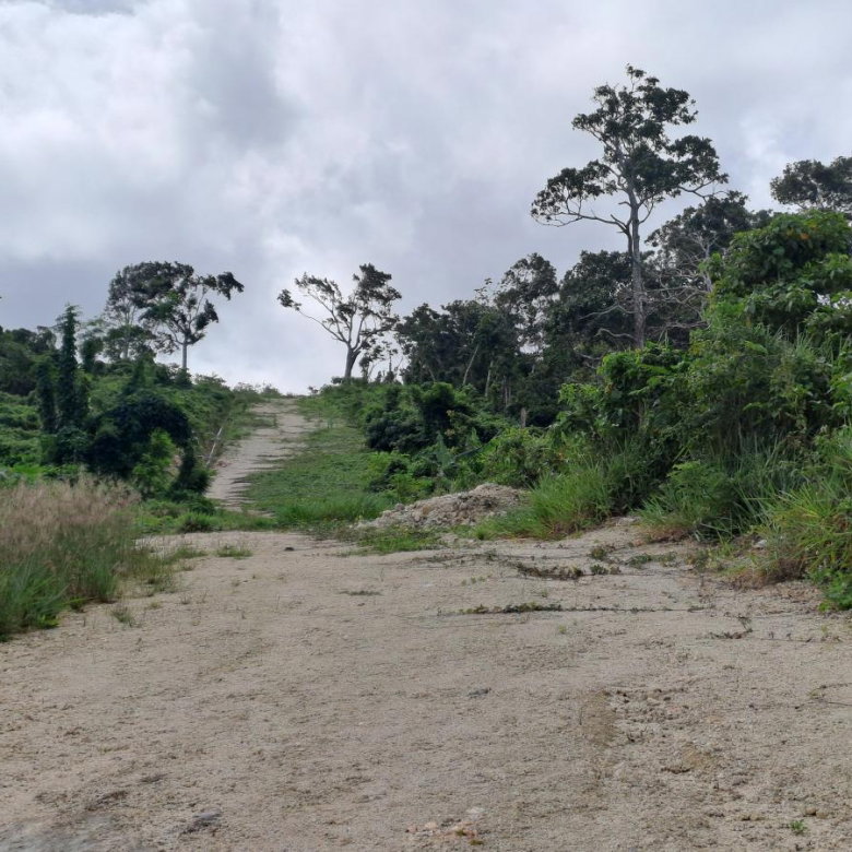 First image of Lot 2 Part of Three Hills in Three Hills, St. Mary, Jamaica - property is For Sale