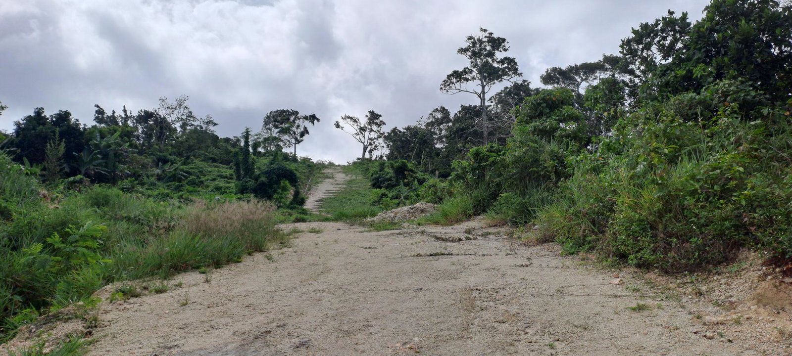 Residential-Lot-for-Sale-in-Three-Hills-St.-Mary-Jamaica-Lot-2 First image of Lot 2 Part of Three Hills in Three Hills, St. Mary, Jamaica - property is For Sale