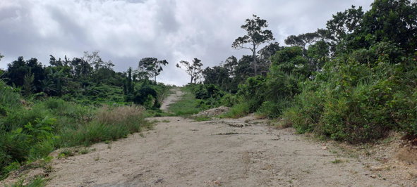 First image of Lot 2 Part of Three Hills in Three Hills, St. Mary, Jamaica - property is For Sale