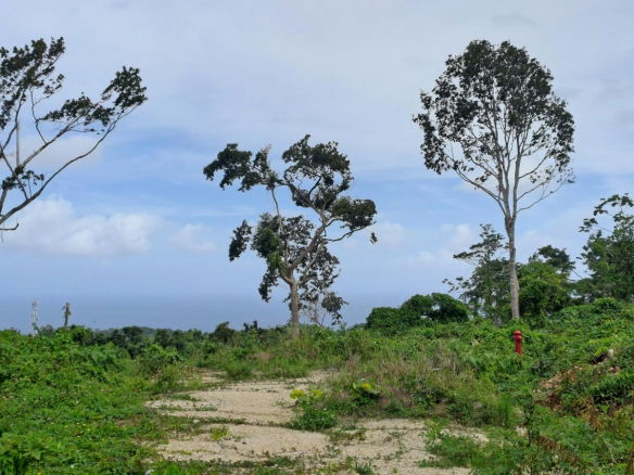 First image of Lot 6- Part of Three Hills in Three Hills, St. Mary, Jamaica - property is For Sale