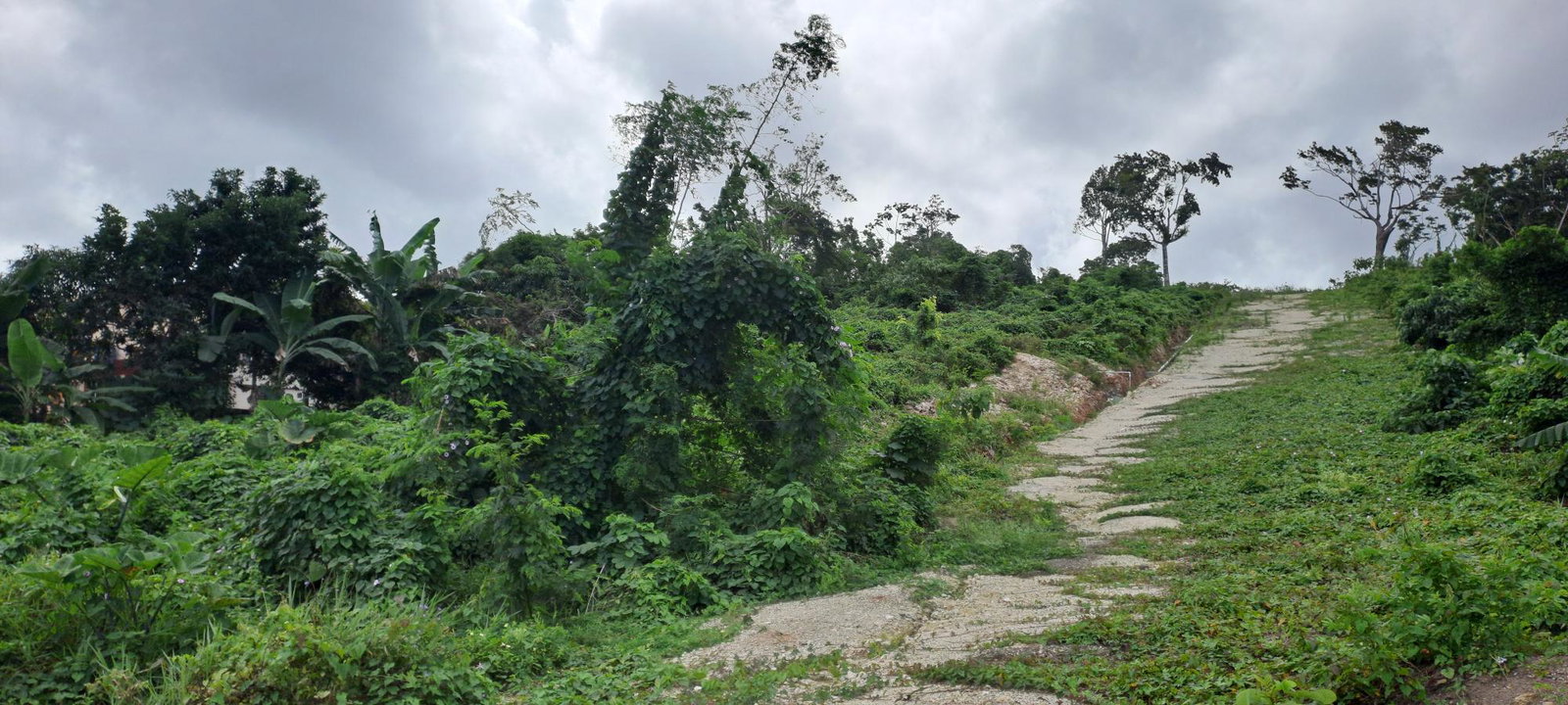 Residential-Lot-for-Sale-in-Three-Hills-St.-Mary-Jamaica-Lot-7 Fourth image of Lot 7- Part of Three Hills in Three Hills, St. Mary, Jamaica - property is For Sale