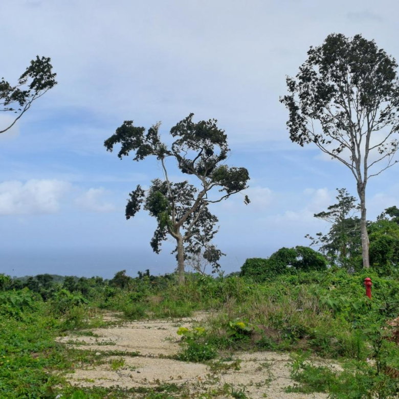 First image of Lot 7- Part of Three Hills in Three Hills, St. Mary, Jamaica - property is For Sale