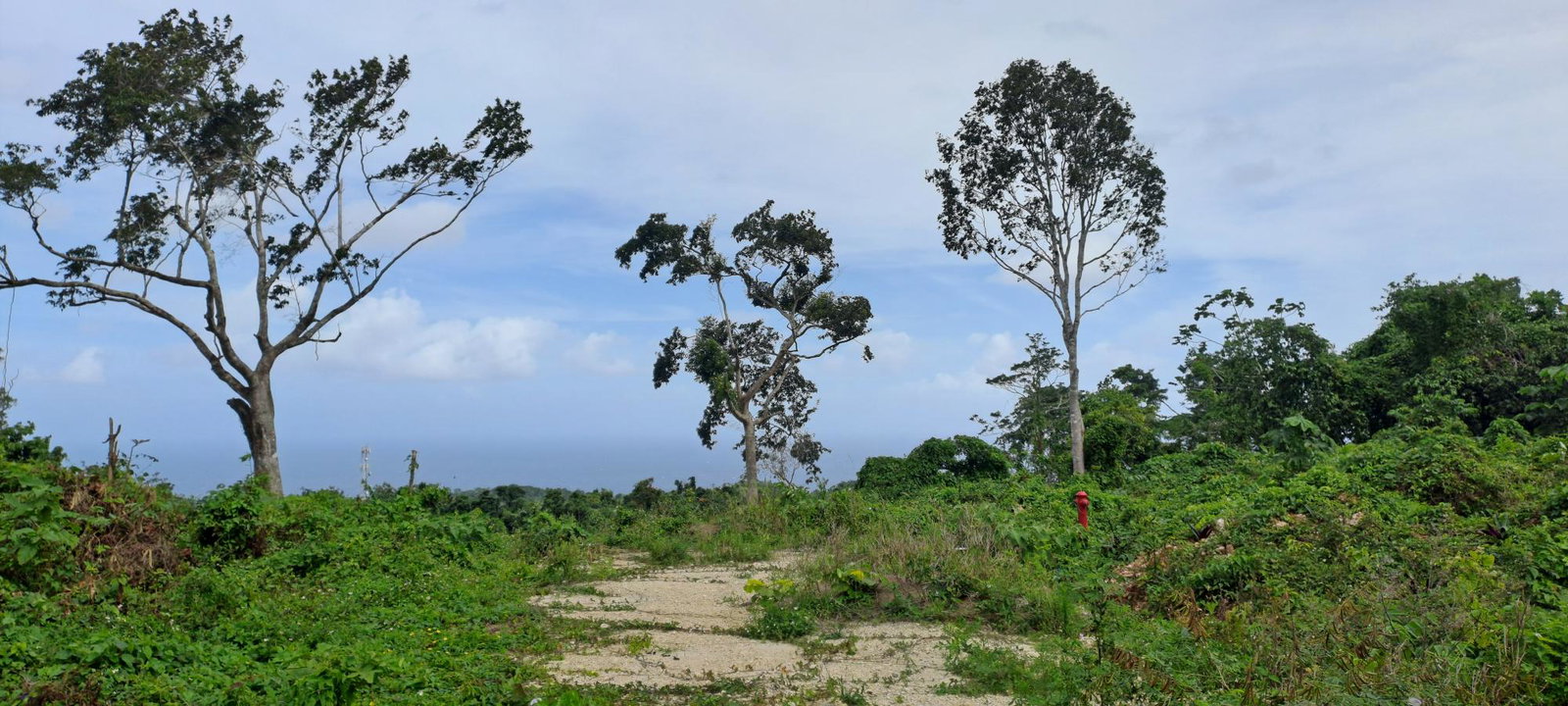 First image of Lot 7- Part of Three Hills in Three Hills, St. Mary, Jamaica - property is For Sale