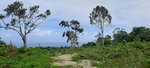 First image of Lot 7- Part of Three Hills in Three Hills, St. Mary, Jamaica - property is For Sale