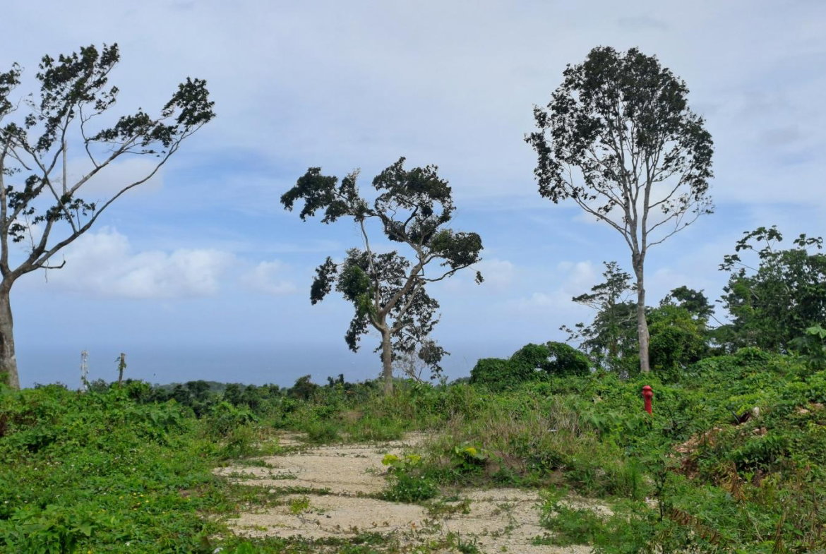 Second image of Lot 3- Part of Three Hills in Three Hills, St. Mary, Jamaica - property is For Sale