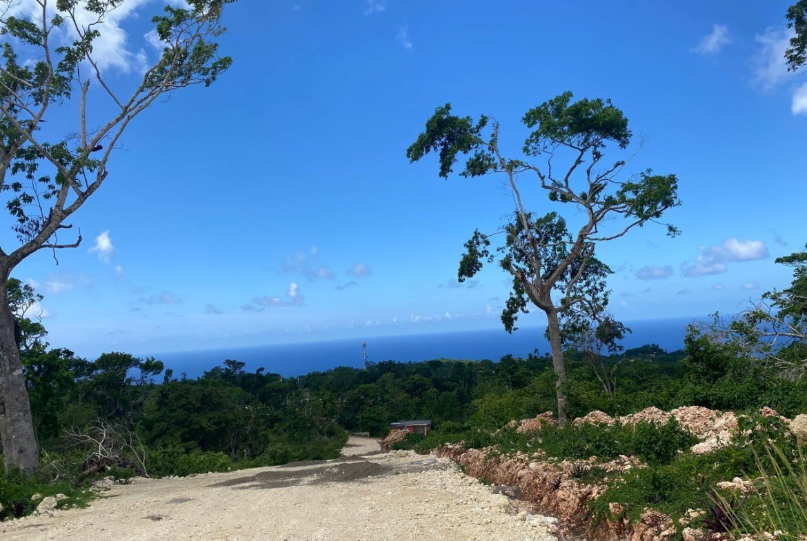 First image of Lot 5- Part of Three Hills in Three Hills, St. Mary, Jamaica - property is For Sale
