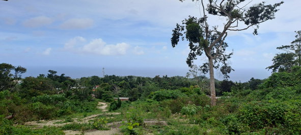 Third image of Lot 5- Part of Three Hills in Three Hills, St. Mary, Jamaica - property is For Sale