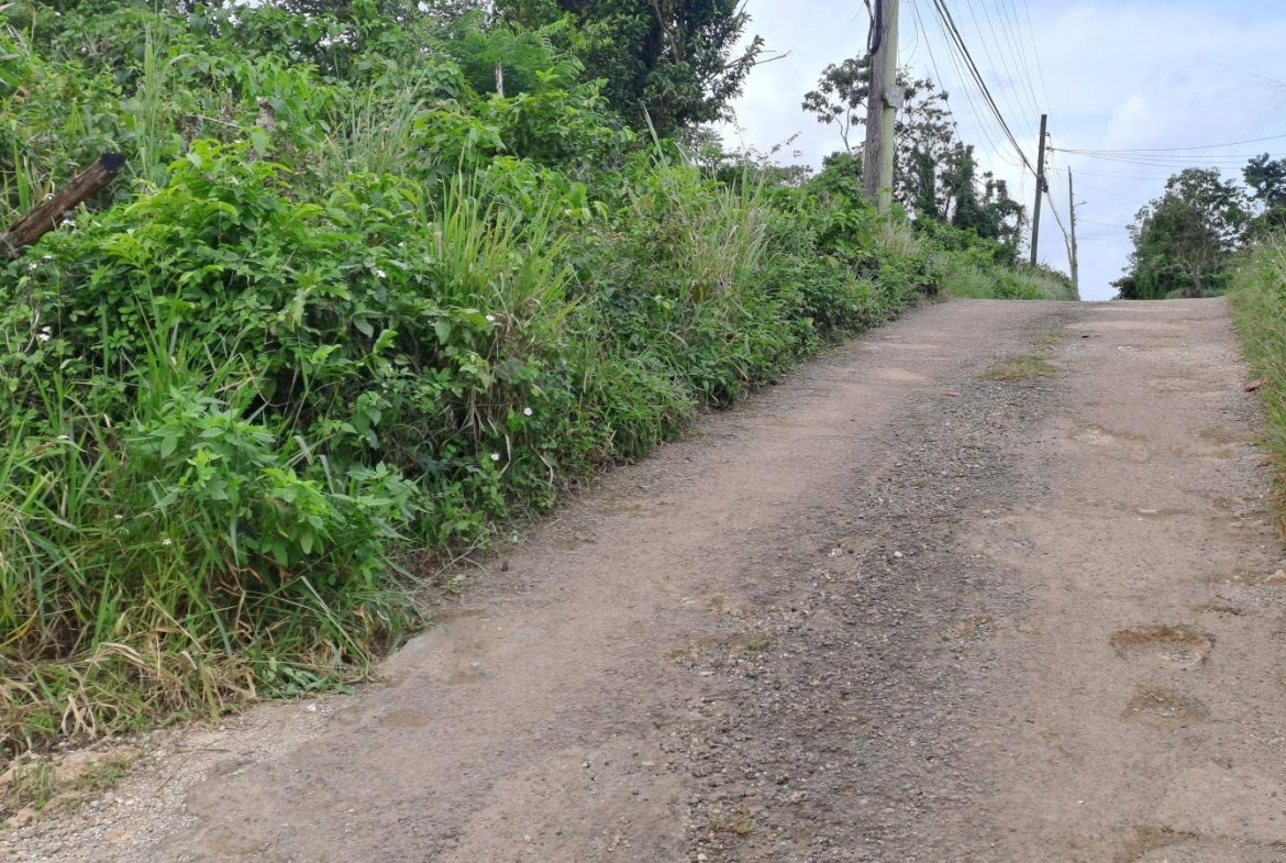 Fourth image of Lot 5- Part of Three Hills in Three Hills, St. Mary, Jamaica - property is For Sale
