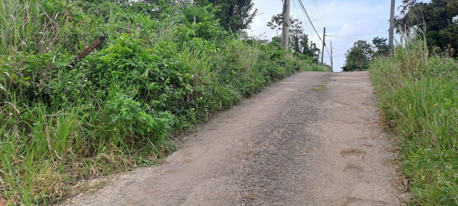 Fourth image of Lot 5- Part of Three Hills in Three Hills, St. Mary, Jamaica - property is For Sale