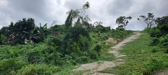 Fifth image of Lot 5- Part of Three Hills in Three Hills, St. Mary, Jamaica - property is For Sale