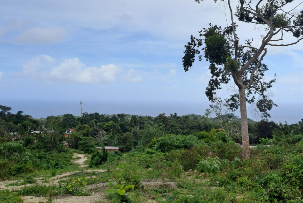 Third image of Lot 3- Part of Three Hills in Three Hills, St. Mary, Jamaica - property is For Sale