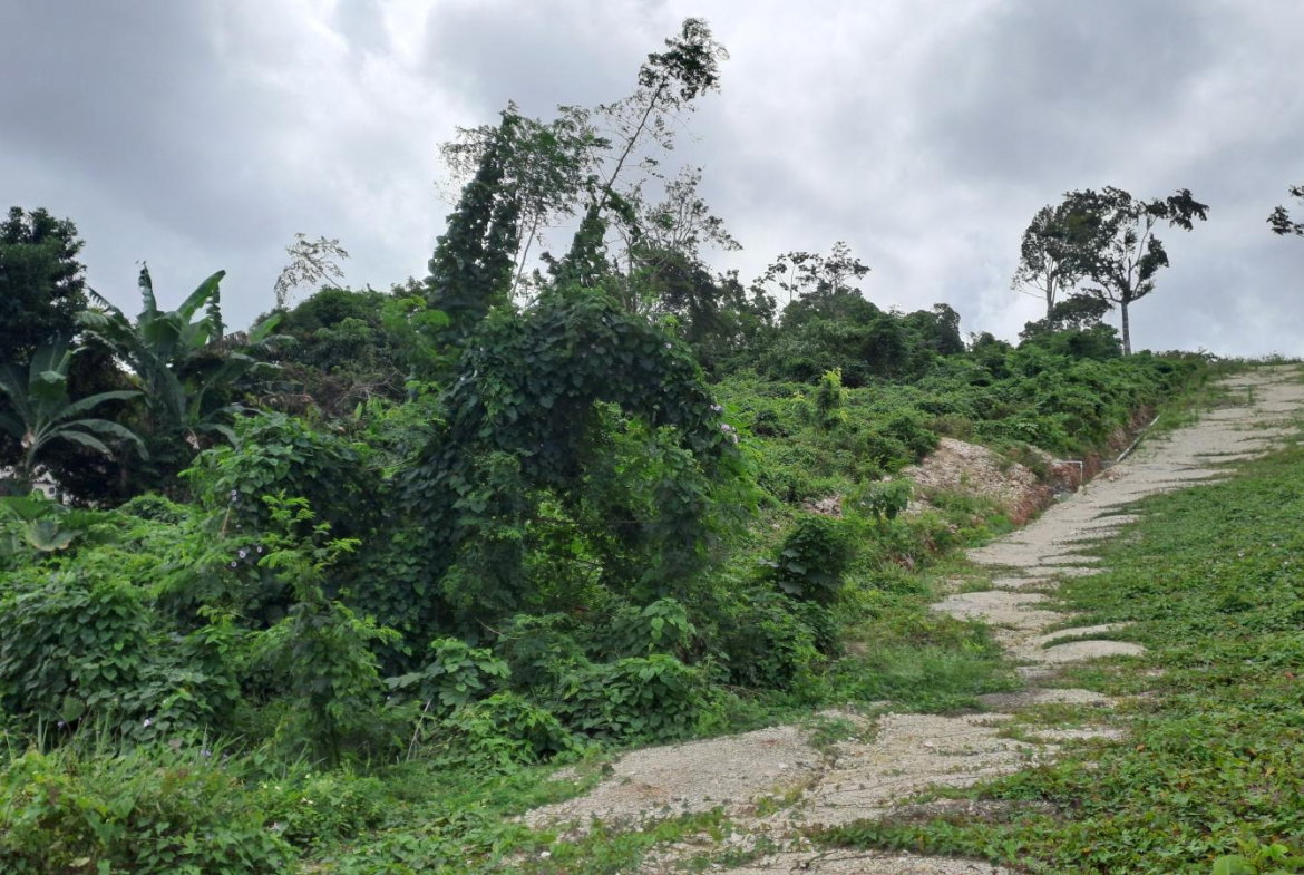 Fifth image of Lot 3- Part of Three Hills in Three Hills, St. Mary, Jamaica - property is For Sale