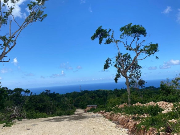 First image of Lot 4- Part of Three Hills in Three Hills, St. Mary, Jamaica - property is For Sale