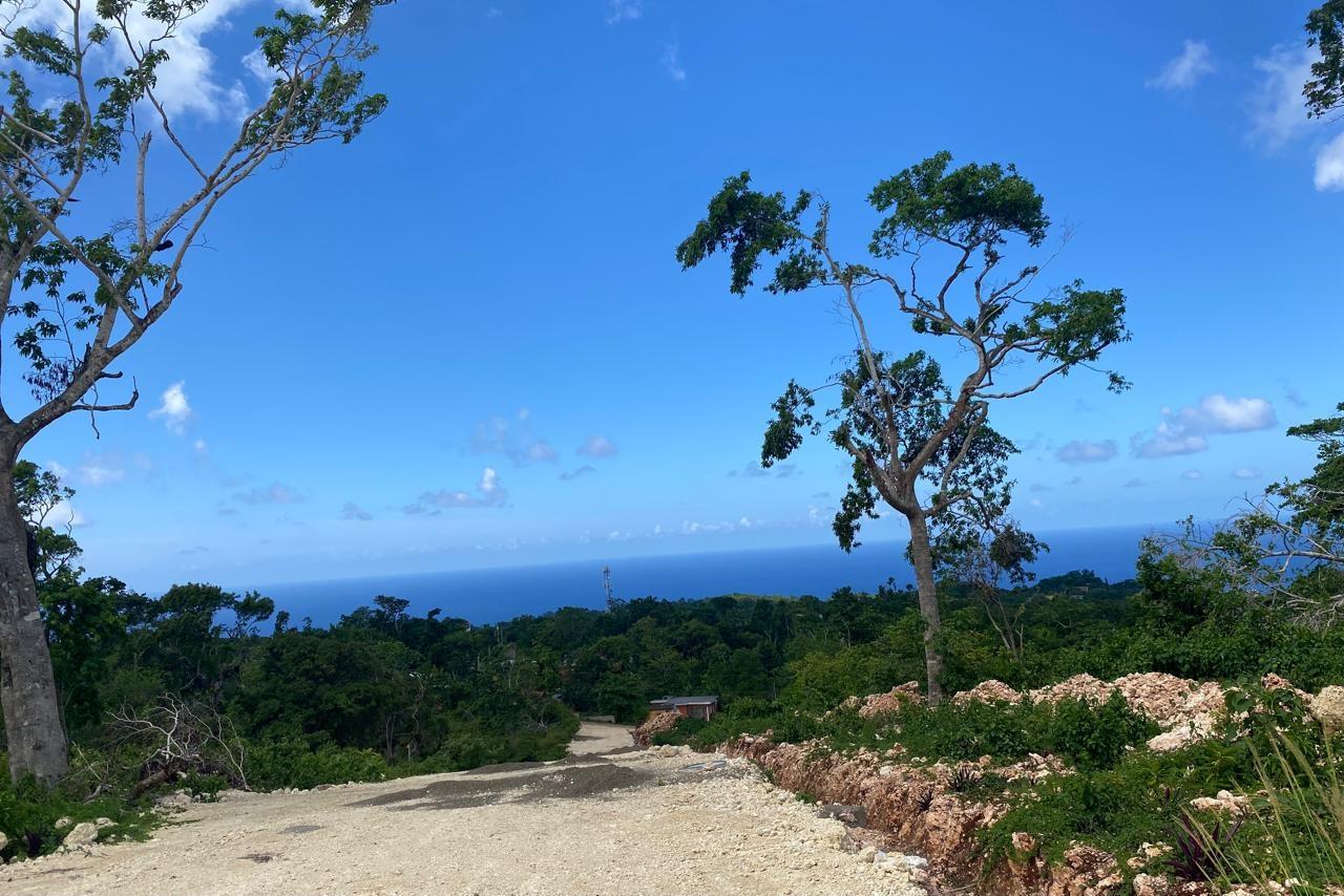 First image of Lot 4- Part of Three Hills in Three Hills, St. Mary, Jamaica - property is For Sale