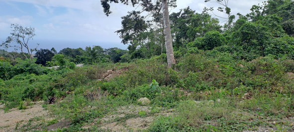 Second image of Lot 4- Part of Three Hills in Three Hills, St. Mary, Jamaica - property is For Sale