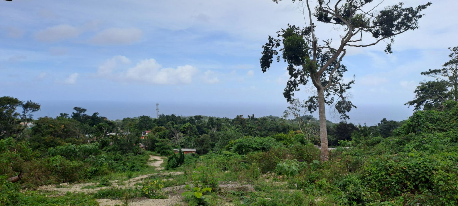 Fourth image of Lot 4- Part of Three Hills in Three Hills, St. Mary, Jamaica - property is For Sale