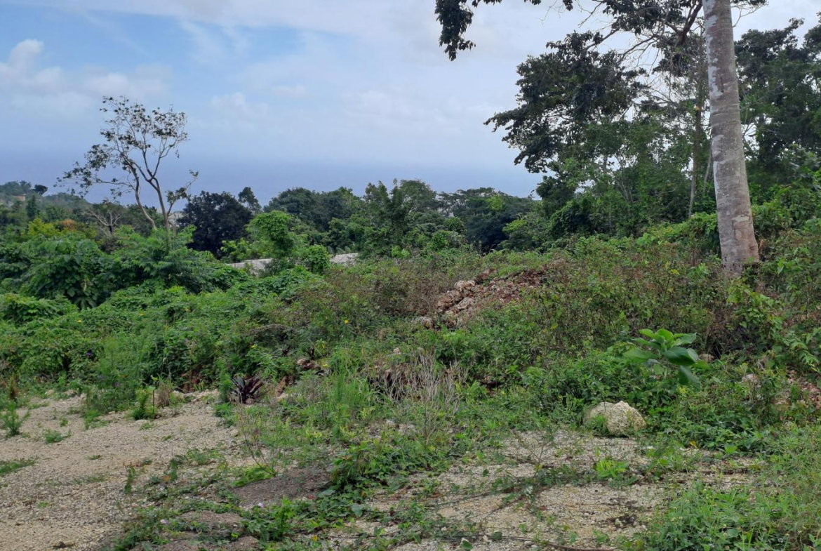 Fifth image of Lot 4- Part of Three Hills in Three Hills, St. Mary, Jamaica - property is For Sale